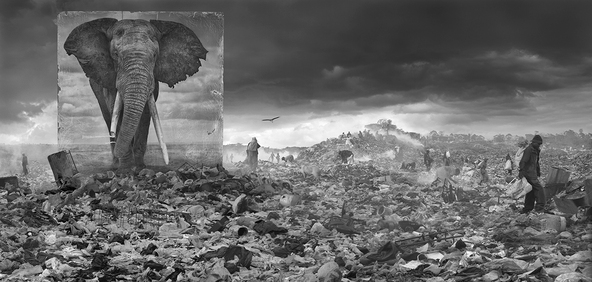 Nick Brandt: "Inherit the Dust"