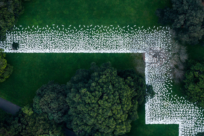 Fifteen-thousand white shields comprise JONATHAN JONES’s barrangal dyara (skin and bones) (detail) in the Royal Botanic Garden. Photo by Peter Greig.