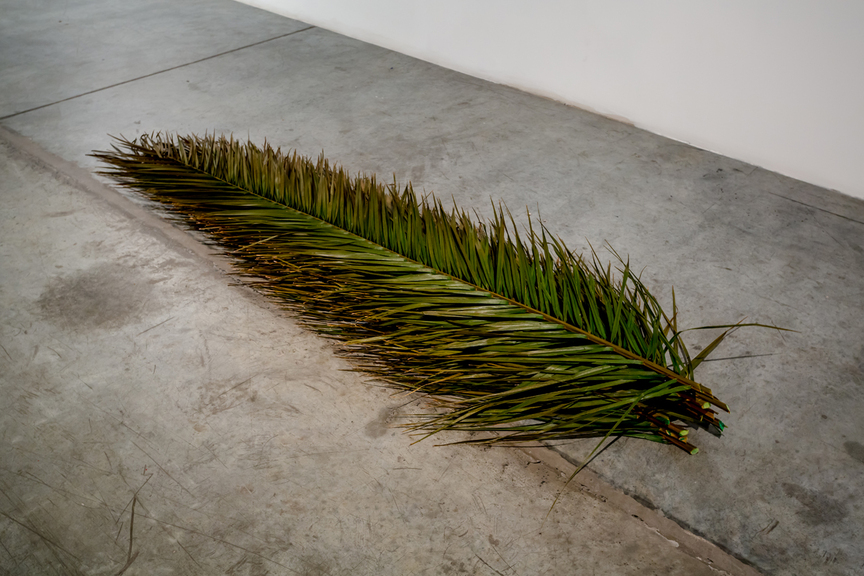 RAJA’A KHALID, Palm Leaves, 2016, 12 preserved palm leaves, dimensions variable. Courtesy the artist and Grey Noise, Dubai.