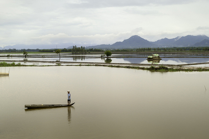 Coastal Regions (Delta)