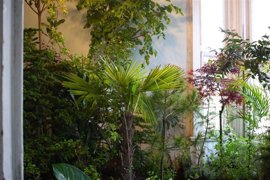 JOÃO MODÉ, Land, 2017, potted plants and soil, in a room of the Abud Effendi Mansion.