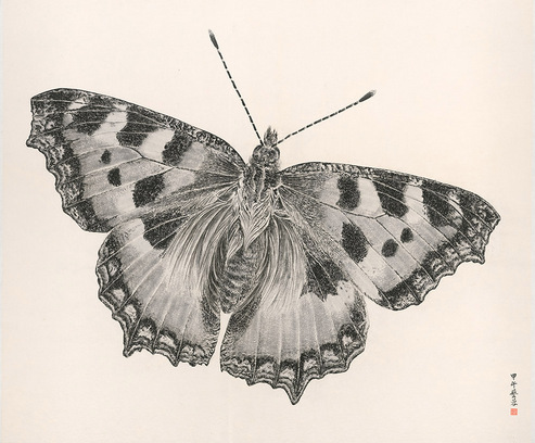 ZHANG YIRONG, Butterfly 2014-7, 2014, ink on paper, 120 × 143 cm. Courtesy Alisan Fine Arts, Hong Kong.