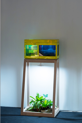 Installation view of CARL F. CHENG’s Erosion Machine No. 2, 1969, Acrylic plastic, wood, glass aquarium, LED lighting, florescent black light lamp and fixture, water pump, nozzle, metal racks, electrical switches and an assortment of human-made erosion rocks, 55.9 × 30.5 × 20.3 cm, at “Emerald City,” K11 Art Foundation’s Pop-up Space, Cosco Tower, Hong Kong, 2018. Courtesy the artist and Philip Martin Gallery, Los Angeles.