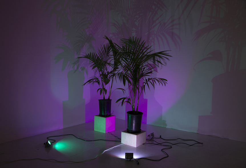 Installation view of TREVOR YEUNG’s Initial Ritual of Mr. Butterflies, 2015, butterfly palm trees, LED light and spinner, dimensions variable, at “Beckoning the Mutation,” Club Pro Los Angeles, 2018.