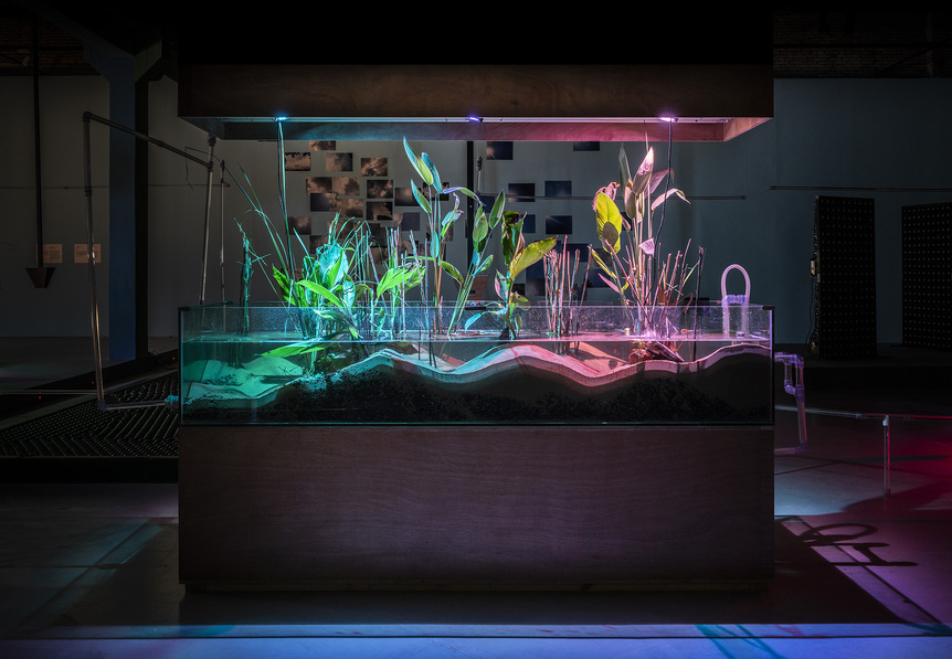 Installation view of TEGA BRAIN’s Deep Swamp, 2018, glass tanks, wetland plants, gravel, sand, acrylic pipes, shade balls, electronics, misters, lighting, pumps, custom software and three-channel sound, 3 m × 3 m x 8 m, at the 6th Guangzhou Triennial, “As We May Think: Feedforward,” Guangdong Museum of Art, 2018–19.