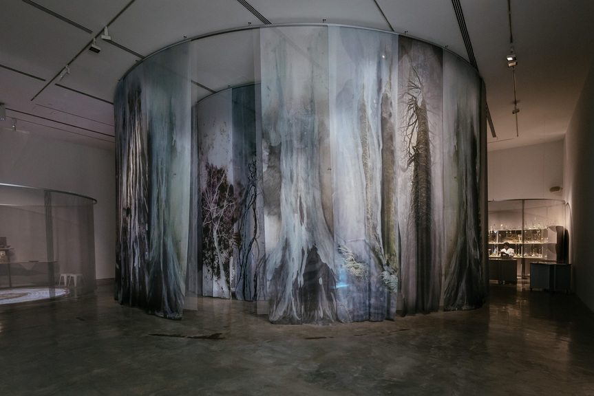 installation view of JANET LAURENCE’s Theatre of Trees, 2018–19, four circular structures, mesh, silk, duraclear, audio, video projections, books, scientific glass, plant specimens, botanical models and substances, dimensions variable, at “After Nature,” Museum of Contemporary Art Australia, Sydney, 2019. Photo by Jacquie Manning. Copyright the artist. Courtesy Museum of Contemporary Art Australia.