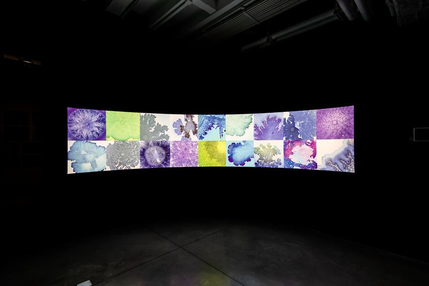 Installation view of TAI DANINO’s Microuniverse, 2016–18, lightboxes, 100 × 47 cm, at “Quasi-Nature: Bio Art, Borderline and Laboratory,” Hyundai Motorstudio Beijing, 2019.