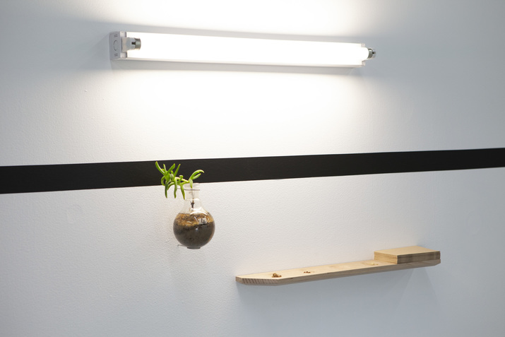 Installation view of JAMES TYLOR’s (Kaurna Mairna, Indigenous Plants from Adelaide South Australia), 2019, Indigenous edible plant seeds, living edible plants, glass test tubes, wooden shelf, dimension variable, at “52 Artists 52 Actions,” Artspace, Sydney, 2019. Courtesy the artist and Artspace.