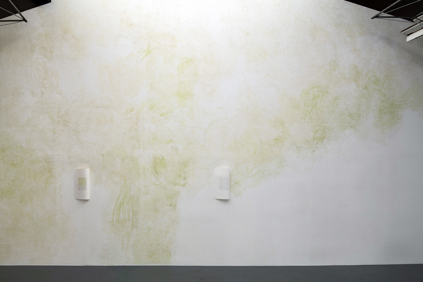 Installation view of HE XIANGYU’s Broccoli , 2019, wall painting with broccoli, dimension variable, at "Who Are Interested in Us?” at SCAI the Bathhouse, Tokyo, 2019.