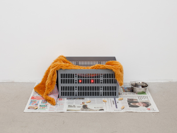 Installation view of PREM SAHIB’s Ozo, 2020, steel, bronze, paint, newspaper, dog bowl, resin, coins, shirt fabric, fake fur, foam board, LED lights, programmed circuit board, cable, power pack, 30 × 95 × 58 cm, at “Descent III. Man Dog,” Southard Reid, London, 2020. Photo by Lewis Ronald.