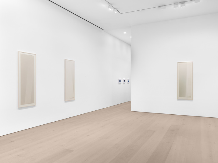 Installation view of CHING HO CHENG’s “More Life: Ching Ho Cheng,” at David Zwirner, New York, 2021.